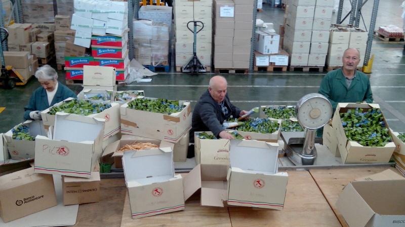 Volontari all'opera nel magazzino di Moncalieri del Banco Alimentare del Piemonte